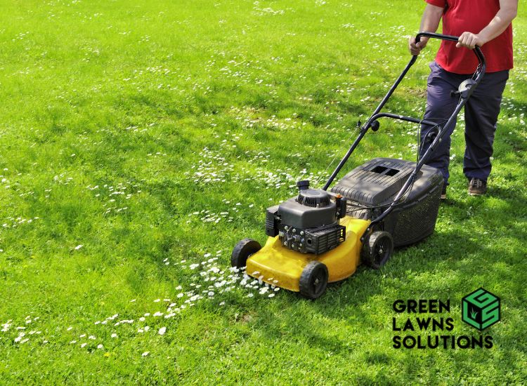 Seasonal Lawn Mowing Tips for Orlando Homeowners